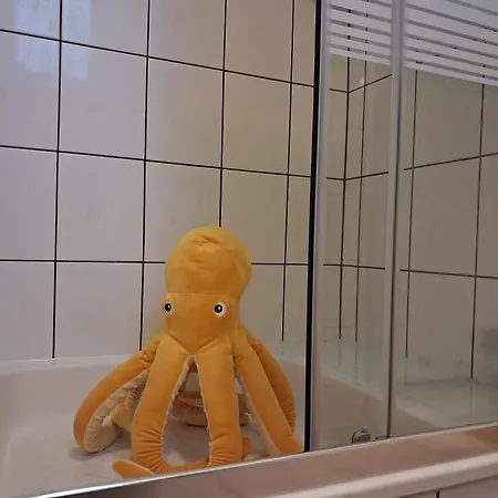 Homestay szállás Ariel *