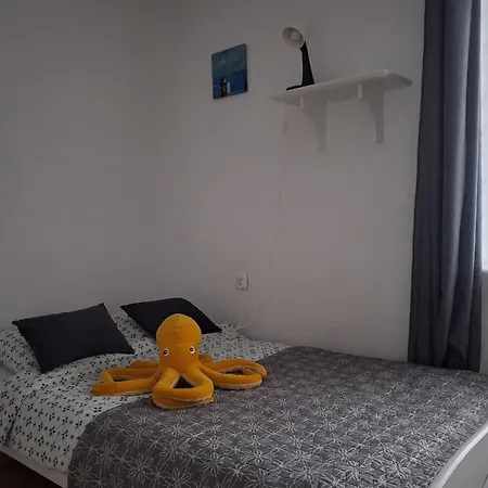 Homestay szállás Ariel