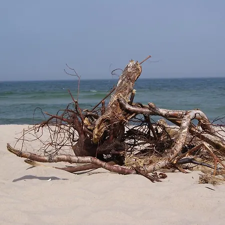 Ariel Privatunterkunft