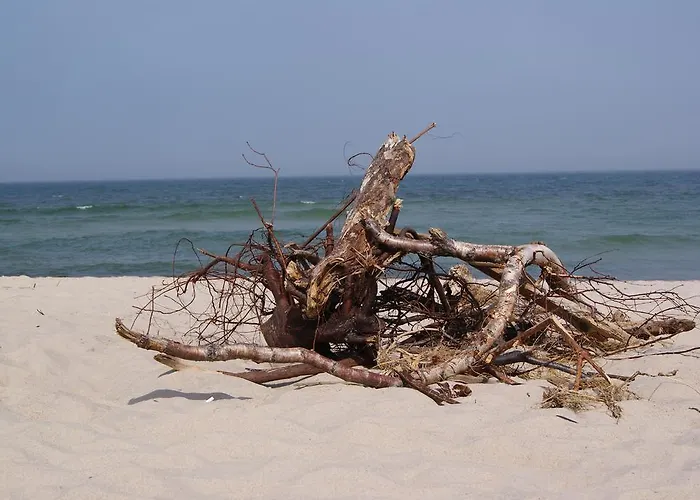 Ariel Quarto em Acomodações Particulares